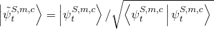 \left| {\tilde \psi _t^{S,m,c}} \right\rangle = \left| {\psi _t^{S,m,c}} \right\rangle /\sqrt {\left\langle {\psi _t^{S,m,c}\left| {\left. {\psi _t^{S,m,c}} \right\rangle } \right.} \right.}