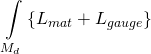 \[\int\limits_{{M_d}} {\left\{ {{L_{mat}} + {L_{gauge}}} \right\}} \]