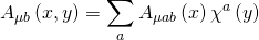 \displaystyle {{A}_{{\mu b}}}\left( {x,y} \right)=\sum\limits_{a}{{{{A}_{{\mu ab}}}}}\left( x \right){{\chi }^{a}}\left( y \right)