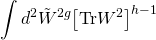 \[\int {{d^2}} {\tilde W^{2g}}{\left[ {{\rm{Tr}}{W^2}} \right]^{h - 1}}\]