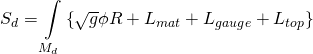 \[{S_d} = \int\limits_{{M_d}} {\left\{ {\sqrt g \phi R + {L_{mat}} + {L_{gauge}} + {L_{top}}} \right\}} \]