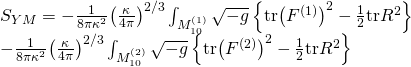 \displaystyle \begin{array}{l}{{S}_{{YM}}}=-\frac{1}{{8\pi {{\kappa }^{2}}}}{{\left( {\frac{\kappa }{{4\pi }}} \right)}^{{2/3}}}\int_{{M_{{10}}^{{\left( 1 \right)}}}}{{\sqrt{{-g}}}}\left\{ {\text{tr}{{{\left( {{{F}^{{\left( 1 \right)}}}} \right)}}^{2}}-\frac{1}{2}\text{tr}{{R}^{2}}} \right\}\\-\frac{1}{{8\pi {{\kappa }^{2}}}}{{\left( {\frac{\kappa }{{4\pi }}} \right)}^{{2/3}}}\int_{{M_{{10}}^{{\left( 2 \right)}}}}{{\sqrt{{-g}}}}\left\{ {\text{tr}{{{\left( {{{F}^{{\left( 2 \right)}}}} \right)}}^{2}}-\frac{1}{2}\text{tr}{{R}^{2}}} \right\}\end{array}