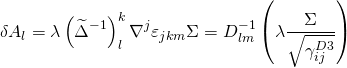\[\delta {A_l} = \lambda \left( {{{\widetilde \Delta }^{ - 1}}} \right)_l^k{\nabla ^j}{\varepsilon _{jkm}}\Sigma = D_{lm}^{ - 1}\left( {\lambda \frac{{\Sigma }}{{\sqrt {\gamma _{ij}^{D3}} }}} \right)\]
