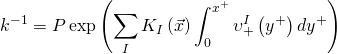 \displaystyle {{k}^{{-1}}}=P\exp \left( {\sum\limits_{I}{{{{K}_{I}}\left( {\vec{x}} \right)\int_{0}^{{{{x}^{+}}}}{{\upsilon _{+}^{I}\left( {{{y}^{+}}} \right)d{{y}^{+}}}}}}} \right)