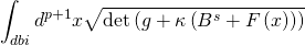 \[\int_{dbi} {{d^{p + 1}}} x\sqrt {\det \left( {g + \kappa \left( {{B^s} + F\left( x \right)} \right)} \right)} \]